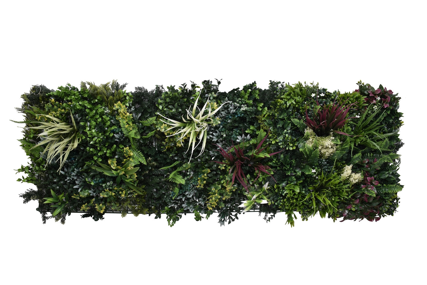 Botanic