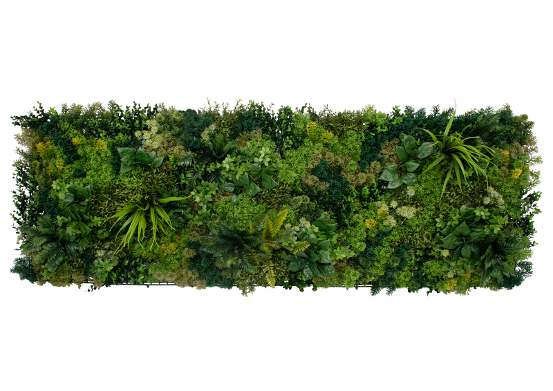 Moss
