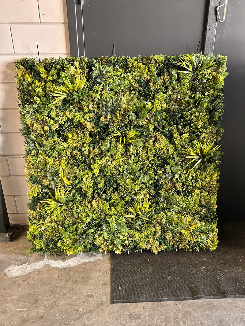 Moss