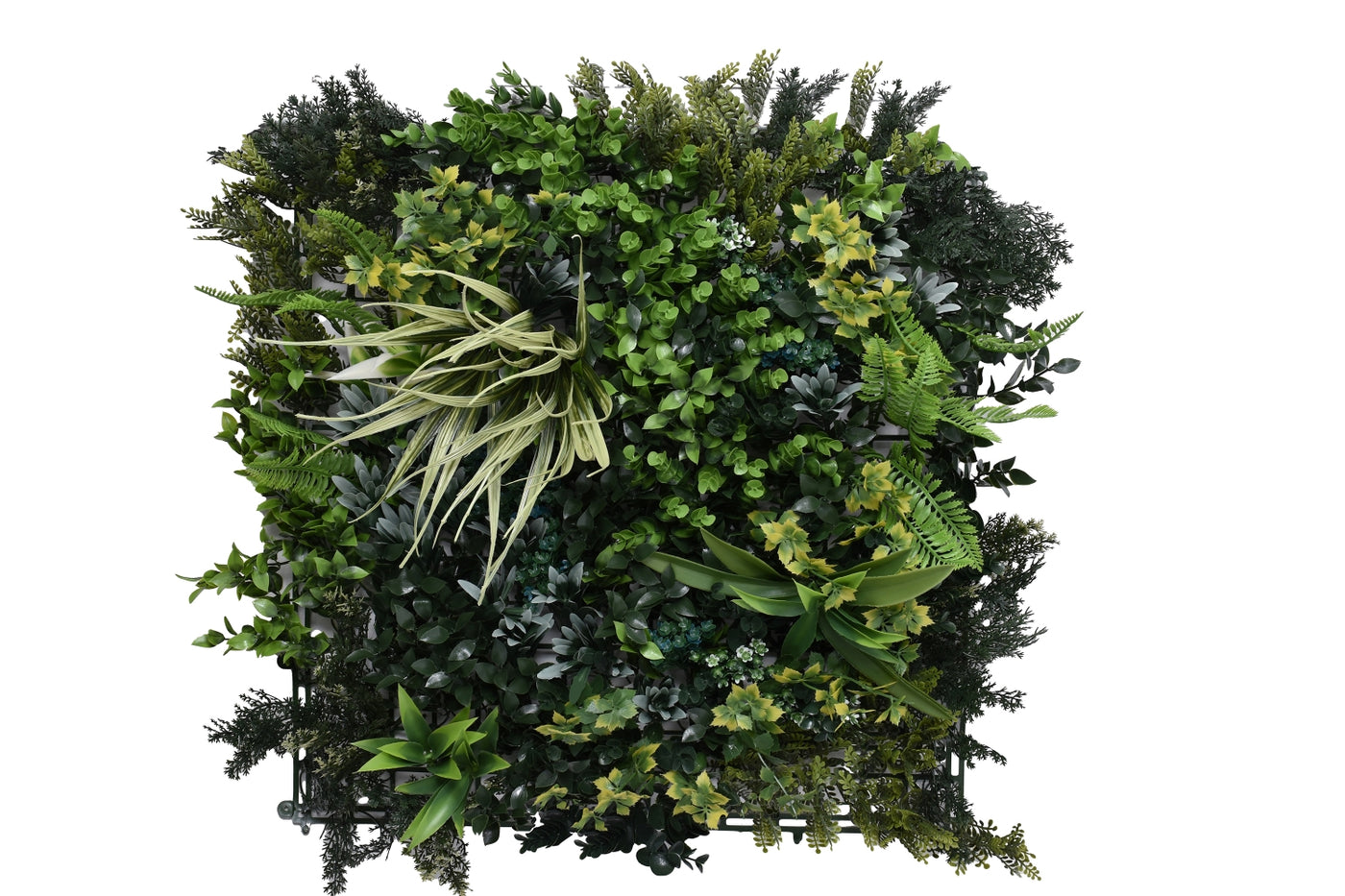 Greenwall Botanic A