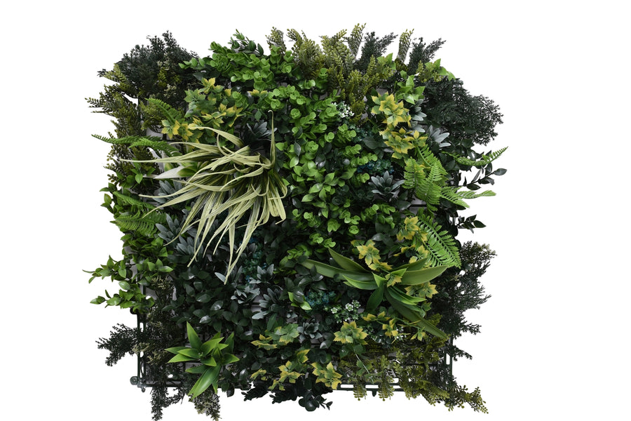 Greenwall Botanic A