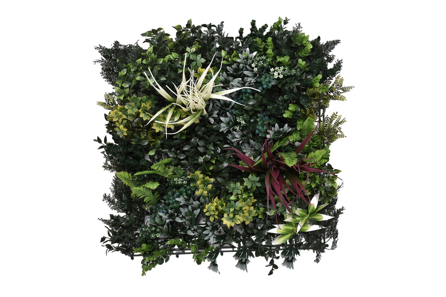 Greenwall Botanic B