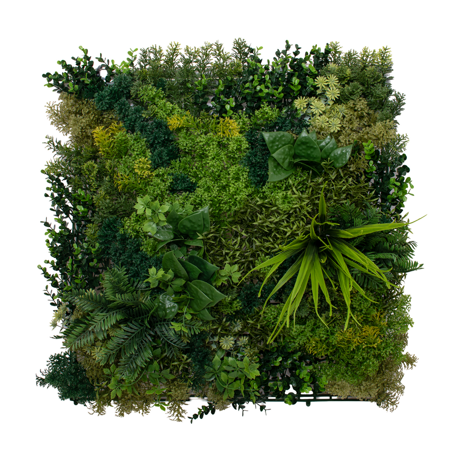 Moss A