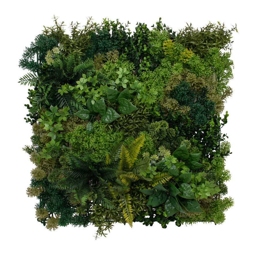 Moss B