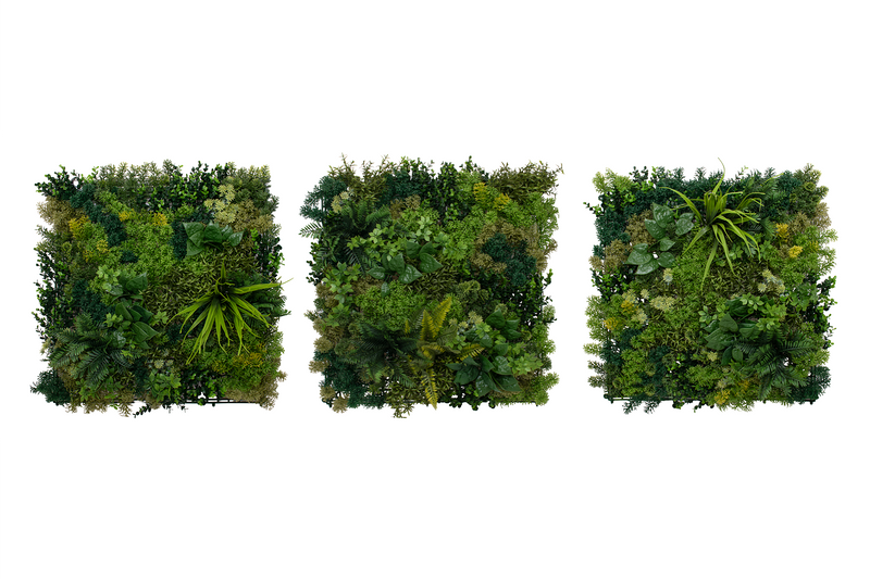 Moss