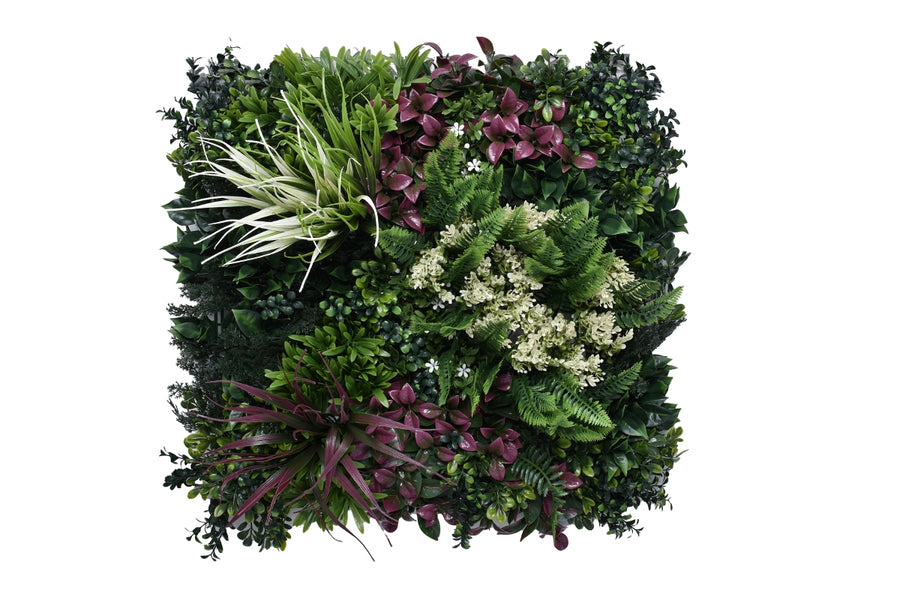 Greenwall Tropic B