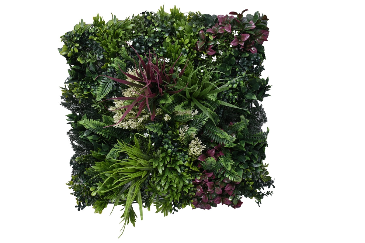 Greenwall Tropic C